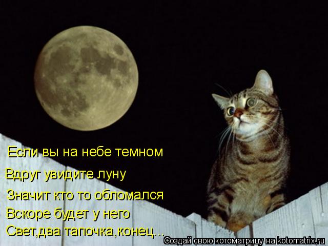 Если вы на небе темном Вдруг увидите луну Значит кто то обломался Вскоре будет у него Свет,два тапочк... Котоматрица: Если вы на небе темном Вдруг увидите луну Значит кто то обломался Вскоре будет у него Свет,два тапочка,конец...