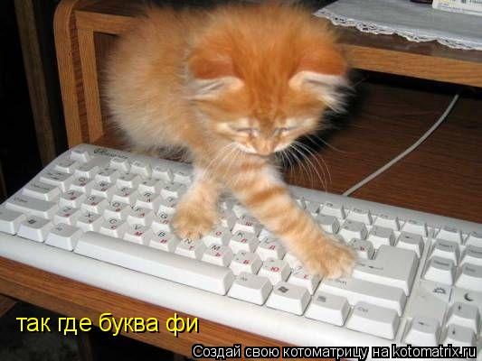 так где буква фи... Котоматрица: так где буква фи