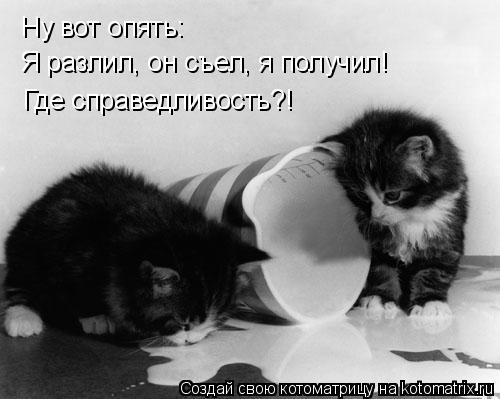 Ну вот опять: Я разлил, он съел, я получил! Где справедливость?!... Котоматрица: Ну вот опять: Я разлил, он съел, я получил! Где справедливость?!