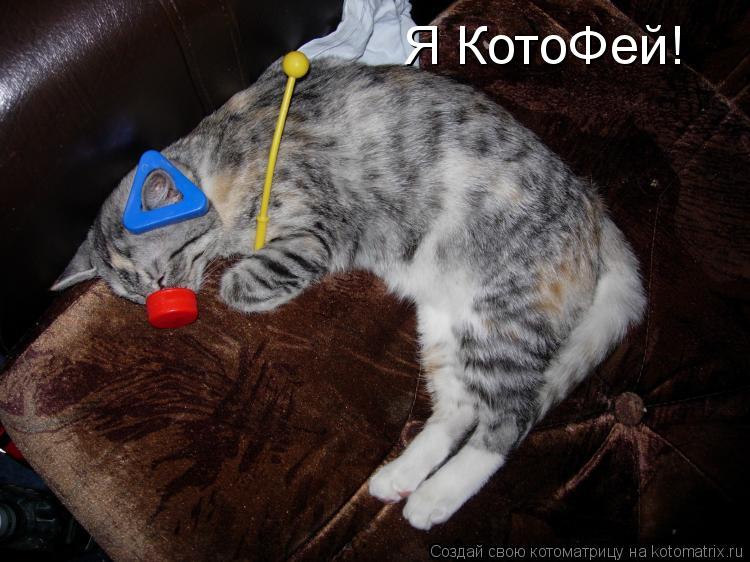 Я КотоФей!... Котоматрица: Я КотоФей!