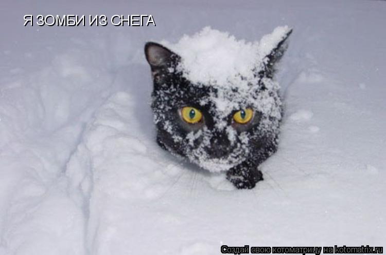 Я ЗОМБИ ИЗ СНЕГА... Котоматрица: Я ЗОМБИ ИЗ СНЕГА