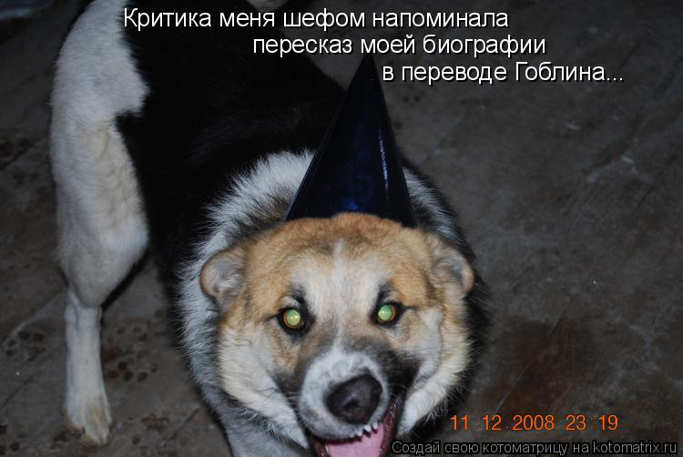 Критика меня шефом напоминала пересказ моей биографии в переводе Гоблина...... Котоматрица: Критика меня шефом напоминала пересказ моей биографии в переводе Гоблина...