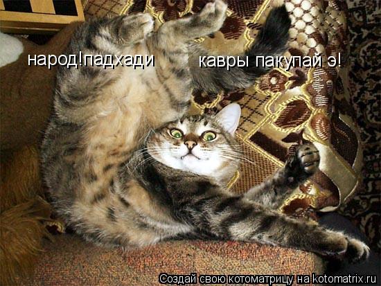народ!падхади кавры пакупай э!... Котоматрица: народ!падхади кавры пакупай э!