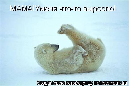 МАМА!Уменя что-то выросло!... Котоматрица: МАМА!Уменя что-то выросло!
