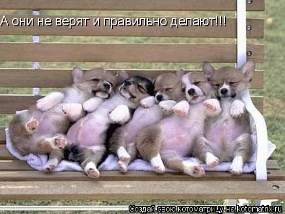 А они не верят и правильно делают!!!... Котоматрица: А они не верят и правильно делают!!!