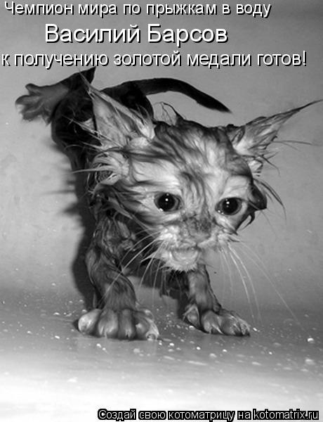 Чемпион мира по прыжкам в воду к получению золотой медали готов! Василий Барсов... Котоматрица: Чемпион мира по прыжкам в воду к получению золотой медали готов! Василий Барсов