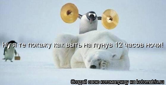 Ну я те покажу как выть на лунув 12 часов ночи!... Котоматрица: Ну я те покажу как выть на лунув 12 часов ночи!