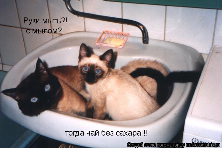 Руки мыть?! с мылом?! тогда чай без сахара!!!... Котоматрица: Руки мыть?! с мылом?! тогда чай без сахара!!!