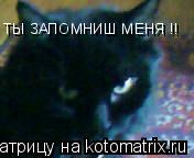 ТЫ ЗАПОМНИШ МЕНЯ !!... Котоматрица: ТЫ ЗАПОМНИШ МЕНЯ !!