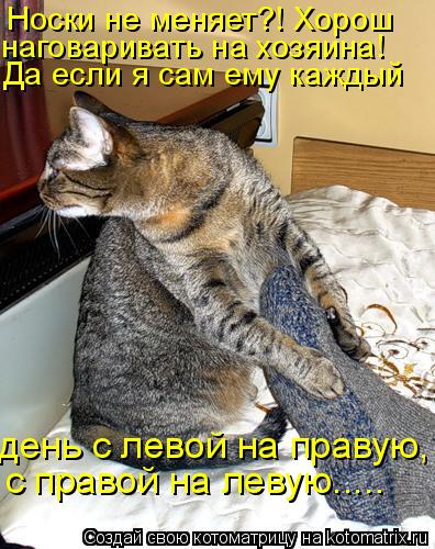 Носки не меняет?! Хорош наговаривать на хозяина! Да если я сам ему каждый день с левой на правую, с... Котоматрица: Носки не меняет?! Хорош наговаривать на хозяина! Да если я сам ему каждый день с левой на правую, с правой на левую.....
