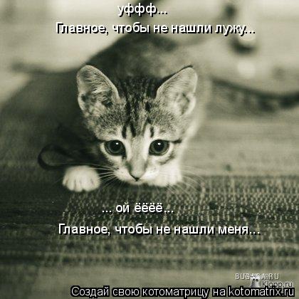 ... ой ёёёё... Главное, чтобы не нашли меня... Главное, чтобы не нашли лужу... уффф...... Котоматрица: ... ой ёёёё... Главное, чтобы не нашли меня... Главное, чтобы не нашли лужу... уффф...