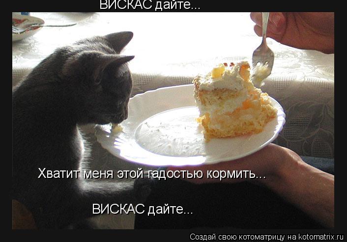 Хватит меня этой гадостью кормить... ВИСКАС дайте... ВИСКАС дайте...... Котоматрица: Хватит меня этой гадостью кормить... ВИСКАС дайте... ВИСКАС дайте...