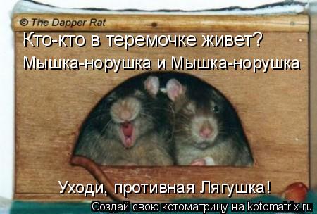 Кто-кто в теремочке живет? Мышка-норушка и Мышка-норушка Уходи, противная Лягушка!... Котоматрица: Кто-кто в теремочке живет? Мышка-норушка и Мышка-норушка Уходи, противная Лягушка!
