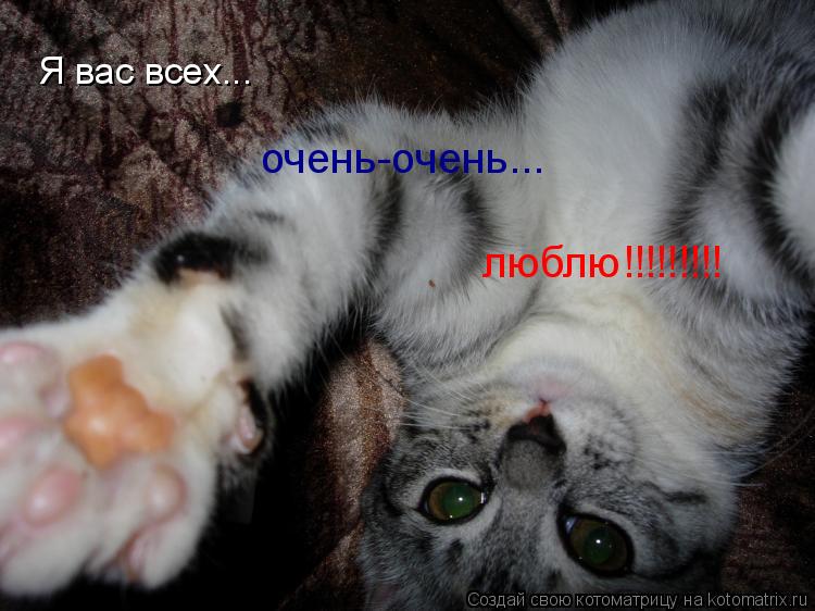 Я вас всех... очень-очень... люблю!!!!!!!!!... Котоматрица: Я вас всех... очень-очень... люблю!!!!!!!!!