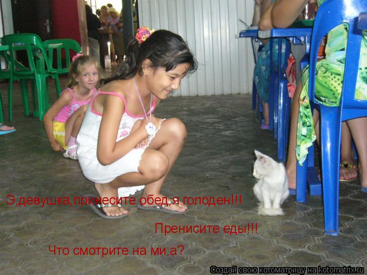 Э,девушка,принесите обед,я голоден!!! Пренисите еды!!! Что смотрите на ми,а?... Котоматрица: Э,девушка,принесите обед,я голоден!!! Пренисите еды!!! Что смотрите на ми,а?