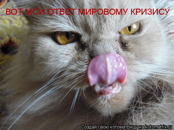 ВОТ МОЙ ОТВЕТ МИРОВОМУ КРИЗИСУ... Котоматрица: ВОТ МОЙ ОТВЕТ МИРОВОМУ КРИЗИСУ