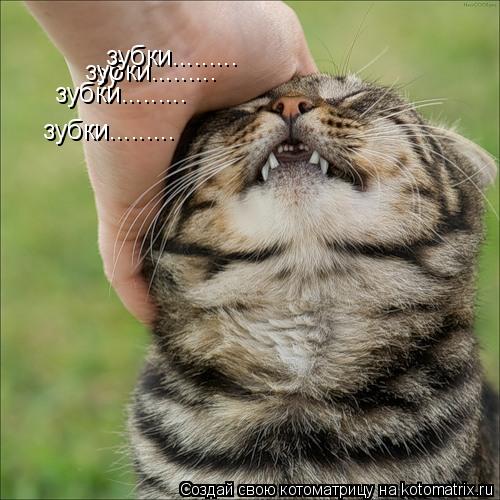 зу зубки......... зубки......... зубки......... зубки............ Котоматрица: зу зубки......... зубки......... зубки......... зубки.........