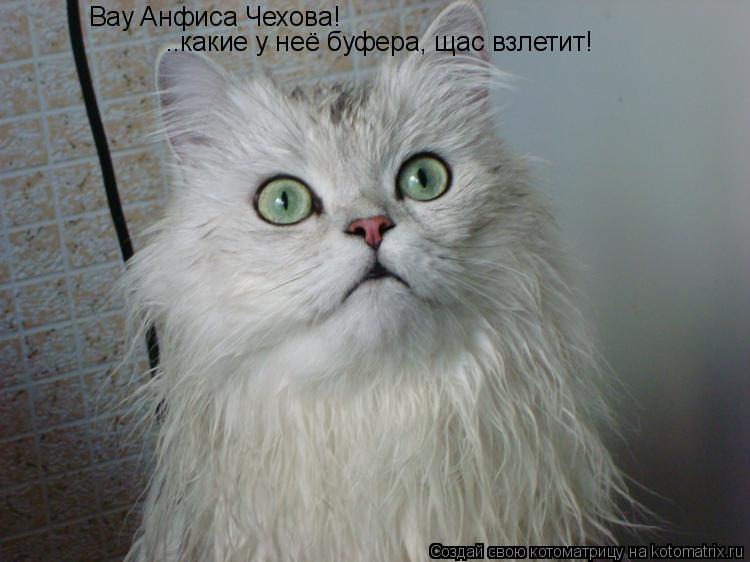 Вау Анфиса Чехова! ..какие у неё буфера, щас взлетит!... Котоматрица: Вау Анфиса Чехова! ..какие у неё буфера, щас взлетит!
