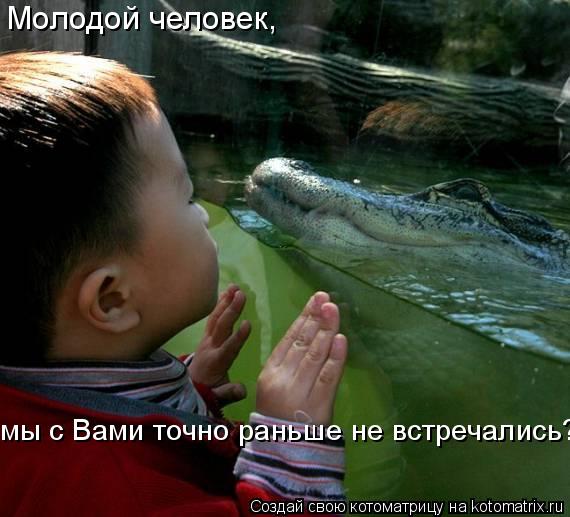 Молодой человек, мы с Вами точно раньше не встречались?... Котоматрица: Молодой человек, мы с Вами точно раньше не встречались?