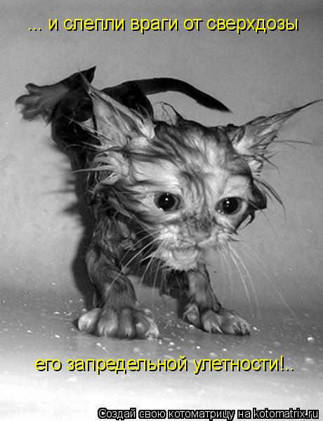 ... и слепли враги от сверхдозы его запредельной улетности!..... Котоматрица: ... и слепли враги от сверхдозы его запредельной улетности!..
