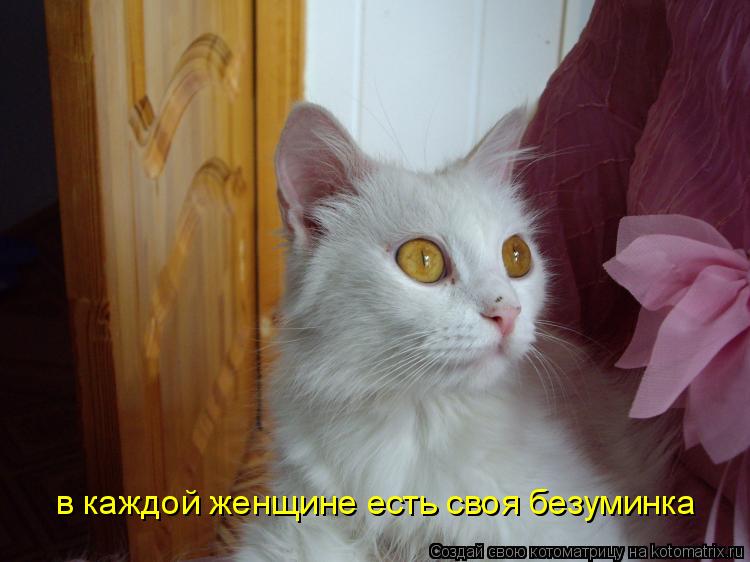 в каждой женщине есть своя безуминка... Котоматрица: в каждой женщине есть своя безуминка