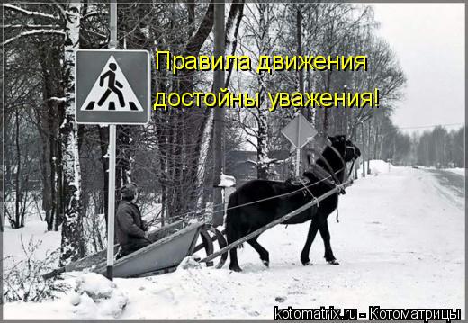 Правила движения достойны уважения!... Котоматрица: Правила движения достойны уважения!