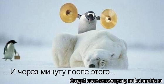 ...И через минуту после этого...... Котоматрица: ...И через минуту после этого...