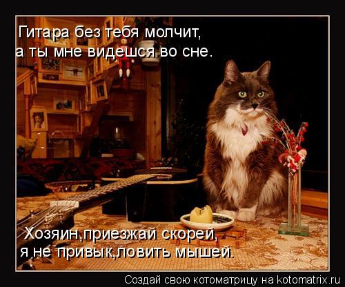 Гитара без тебя молчит, а ты мне видешся во сне. Хозяин,приезжай скорей, я не привык,ловить мышей.... Котоматрица: Гитара без тебя молчит, а ты мне видешся во сне. Хозяин,приезжай скорей, я не привык,ловить мышей.