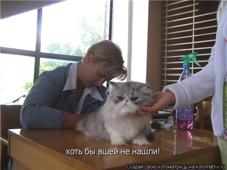 хоть бы вшей не нашли!... Котоматрица: хоть бы вшей не нашли!