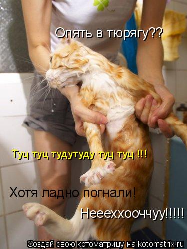 Опять в тюрягу?? Неееххооччуу!!!!! Хотя ладно погнали! Туц туц тудутуду туц туц !!!... Котоматрица: Опять в тюрягу?? Неееххооччуу!!!!! Хотя ладно погнали! Туц туц тудутуду туц туц !!!