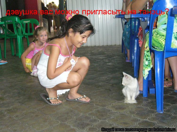дэвушка,вас можно пригласыть на танэць?... Котоматрица: дэвушка,вас можно пригласыть на танэць?