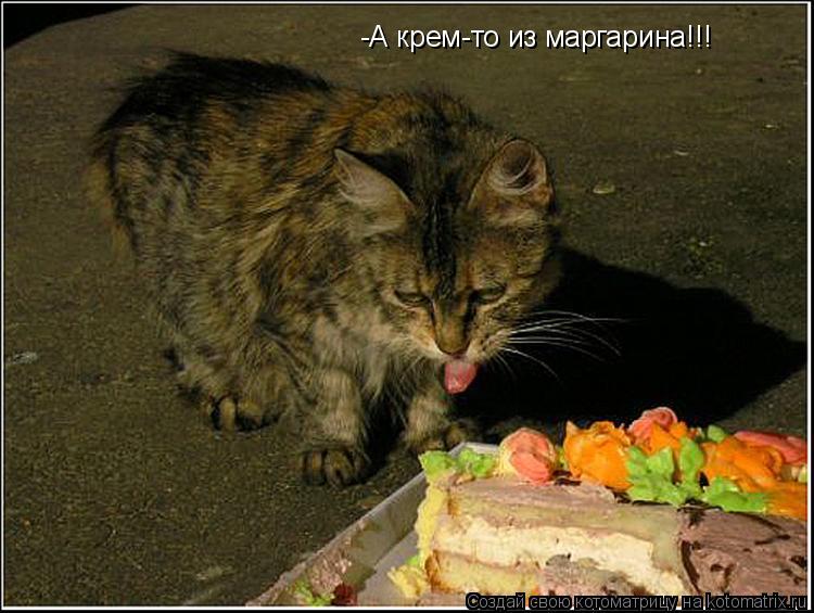 -А крем-то из маргарина!!!... Котоматрица: -А крем-то из маргарина!!!