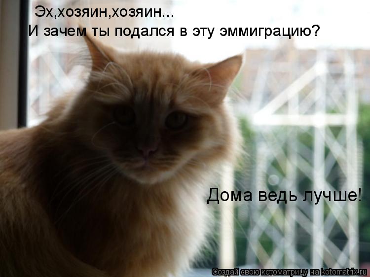 Эх,хозяин,хозяин... И зачем ты подался в эту эммиграцию? Дома ведь лучше!... Котоматрица: Эх,хозяин,хозяин... И зачем ты подался в эту эммиграцию? Дома ведь лучше!