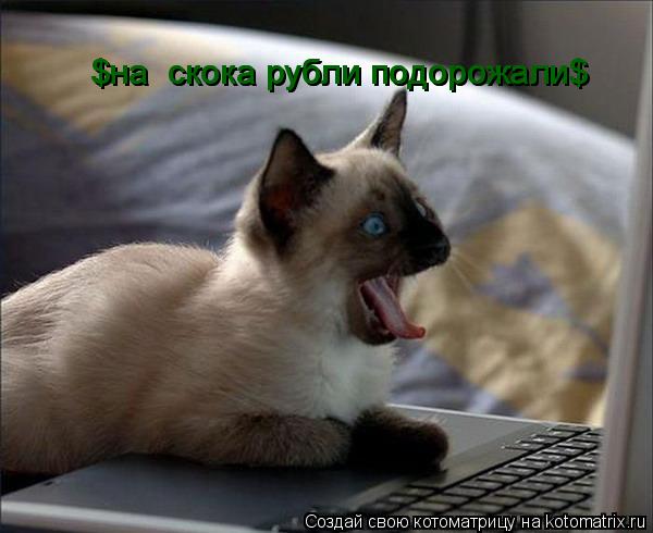 $на скока рубли подорожали$ $на скока рубли подорожали$... Котоматрица: $на скока рубли подорожали$ $на скока рубли подорожали$