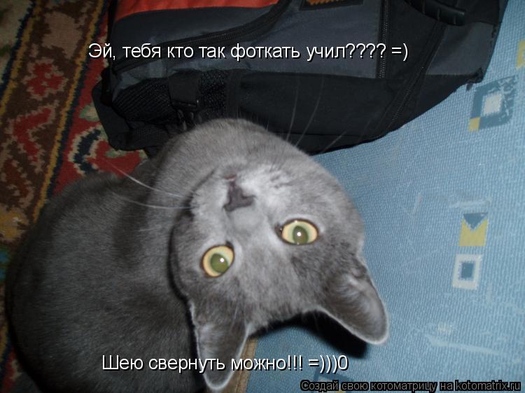 Эй, тебя кто так фоткать учил???? =) Шею свернуть можно!!! =)))0... Котоматрица: Эй, тебя кто так фоткать учил???? =) Шею свернуть можно!!! =)))0
