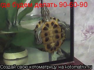 где будем делать 90-60-90... Котоматрица: где будем делать 90-60-90