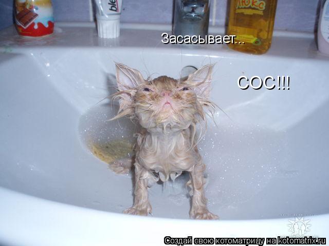 Засасывает... СОС!!!... Котоматрица: Засасывает... СОС!!!