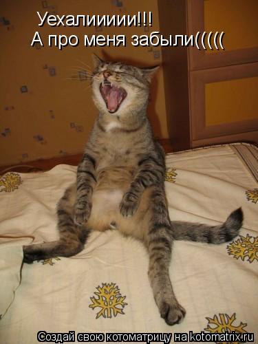 Уехалиииии!!! А про меня забыли(((((... Котоматрица: Уехалиииии!!! А про меня забыли(((((