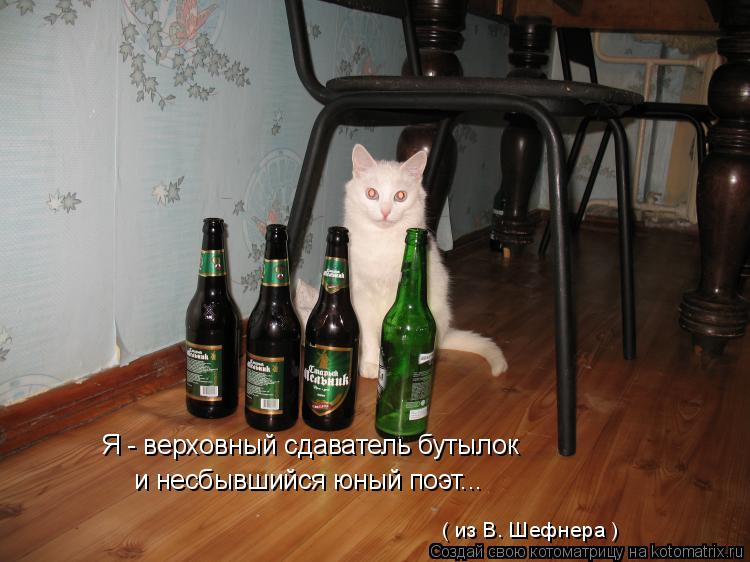 Я - верховный сдаватель бутылок и несбывшийся юный поэт... ( из В. Шефнера )... Котоматрица: Я - верховный сдаватель бутылок и несбывшийся юный поэт... ( из В. Шефнера )