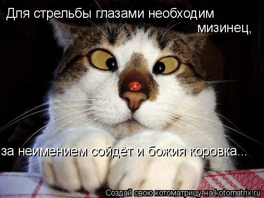 Для стрельбы глазами необходим мизинец, за неимением сойдёт и божия коровка...... Котоматрица: Для стрельбы глазами необходим мизинец, за неимением сойдёт и божия коровка...