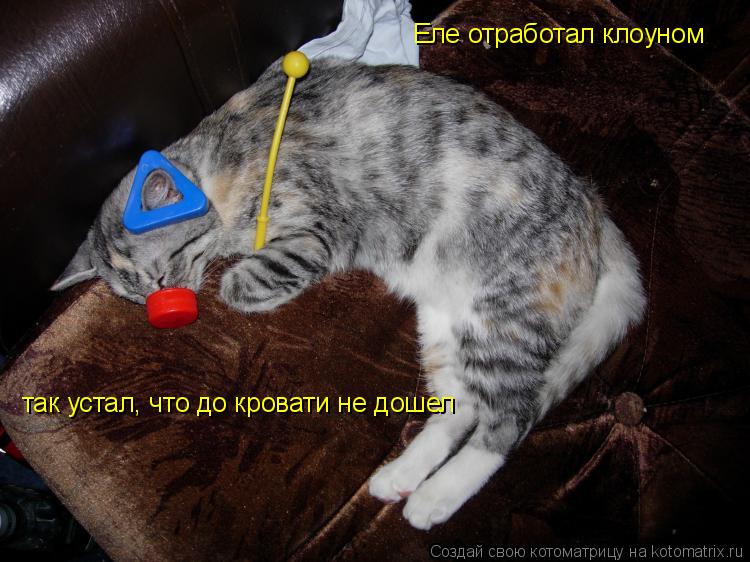 Еле отработал клоуном так устал, что до кровати не дошел... Котоматрица: Еле отработал клоуном так устал, что до кровати не дошел