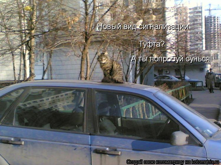 Новый вид сигнализации. Туфта? А ты попробуй сунься!... Котоматрица: Новый вид сигнализации. Туфта? А ты попробуй сунься!