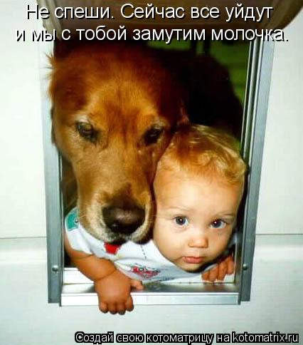 Не спеши. Сейчас все уйдут и мы с тобой замутим молочка.... Котоматрица: Не спеши. Сейчас все уйдут и мы с тобой замутим молочка.