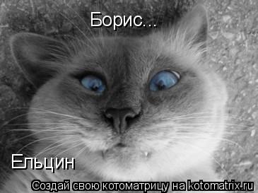 Борис... Ельцин... Котоматрица: Борис... Ельцин