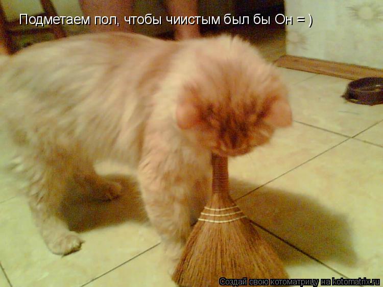 Подметаем пол, чтобы чиистым был бы Он = )... Котоматрица: Подметаем пол, чтобы чиистым был бы Он = )