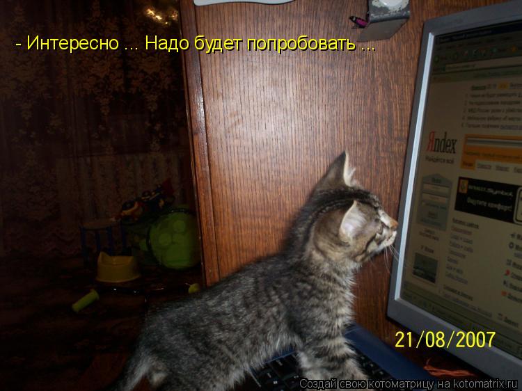- Интересно ... Надо будет попробовать ...... Котоматрица: - Интересно ... Надо будет попробовать ...
