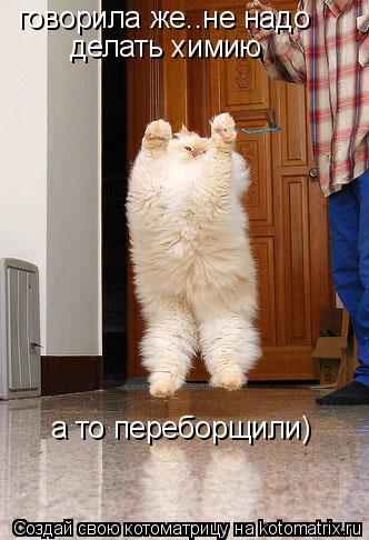 говорила же..не надо делать химию а то переборщили)... Котоматрица: говорила же..не надо делать химию а то переборщили)