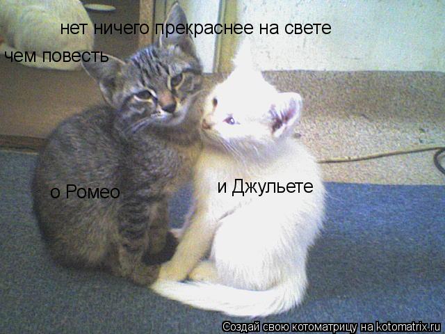 нет ничего прекраснее на свете чем повесть о Ромео и Джульете... Котоматрица: нет ничего прекраснее на свете чем повесть о Ромео и Джульете