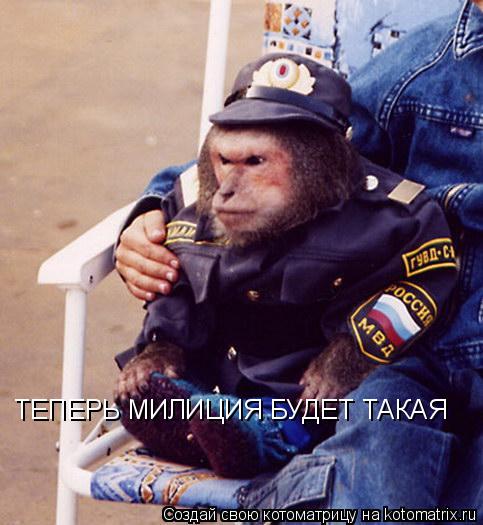 ТЕПЕРЬ МИЛИЦИЯ БУДЕТ ТАКАЯ... Котоматрица: ТЕПЕРЬ МИЛИЦИЯ БУДЕТ ТАКАЯ