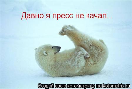Давно я пресс не качал...... Котоматрица: Давно я пресс не качал...